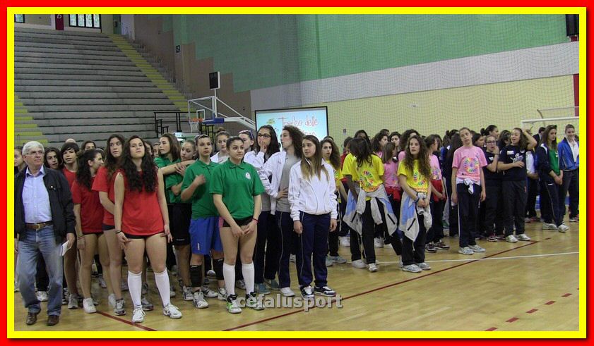 IMG_6077_tn.jpg