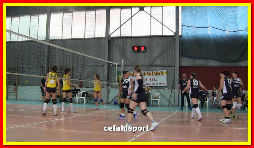 IMG_2019_tn.jpg