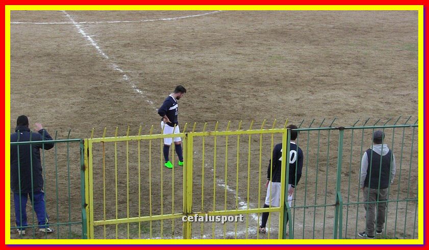 IMG_1950_tn.jpg