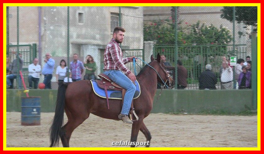 IMG_2371_tn.jpg