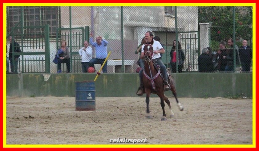 IMG_2378_tn.jpg