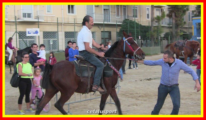 IMG_2380_tn.jpg