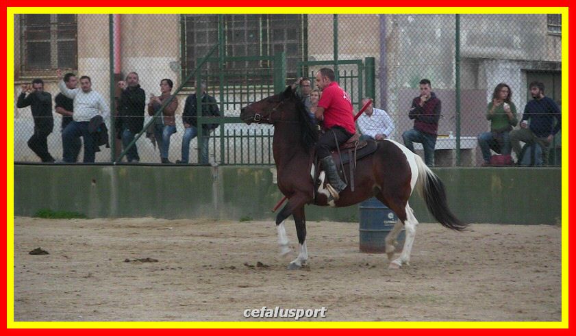 IMG_2387_tn.jpg