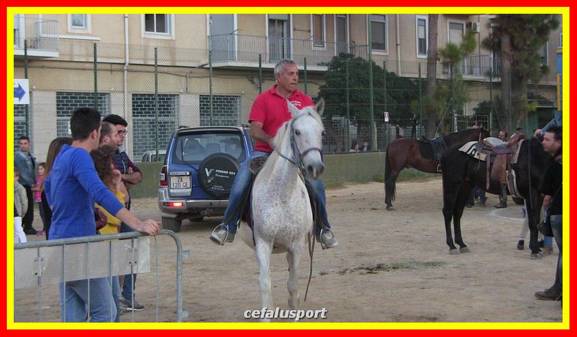 IMG_2397_tn.jpg