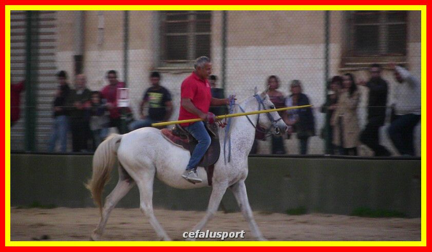 IMG_2418_tn.jpg