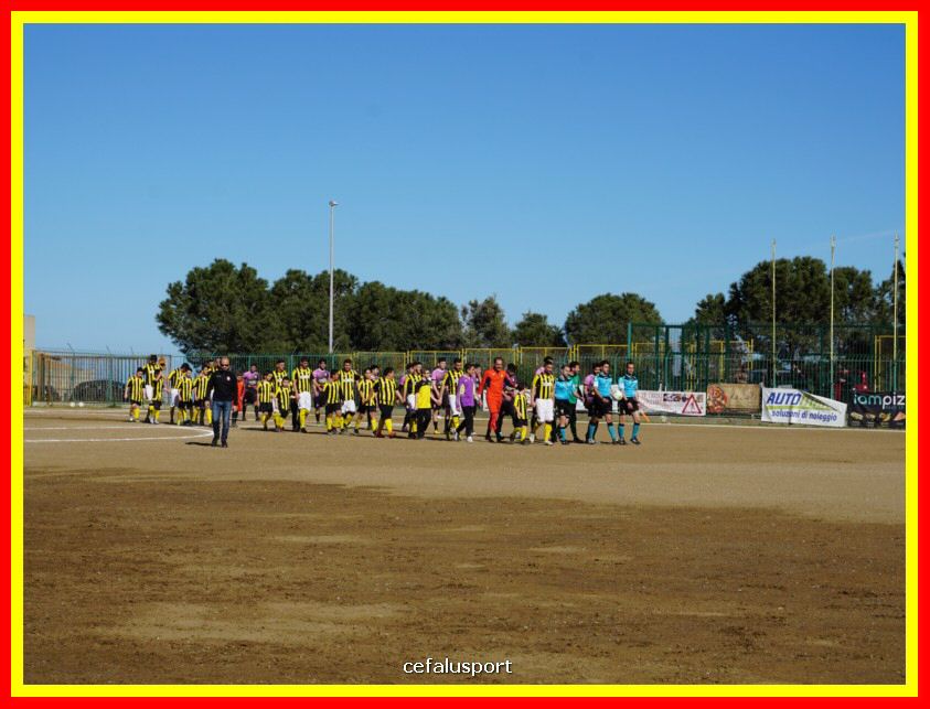 DSC00343_tn.jpg