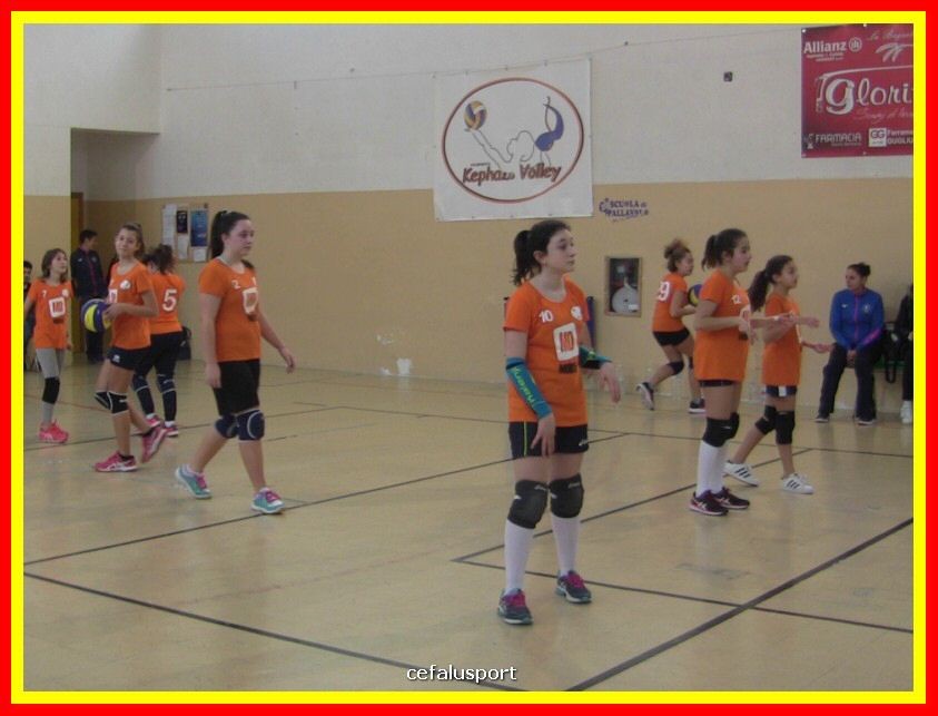 IMG_5045_tn.jpg