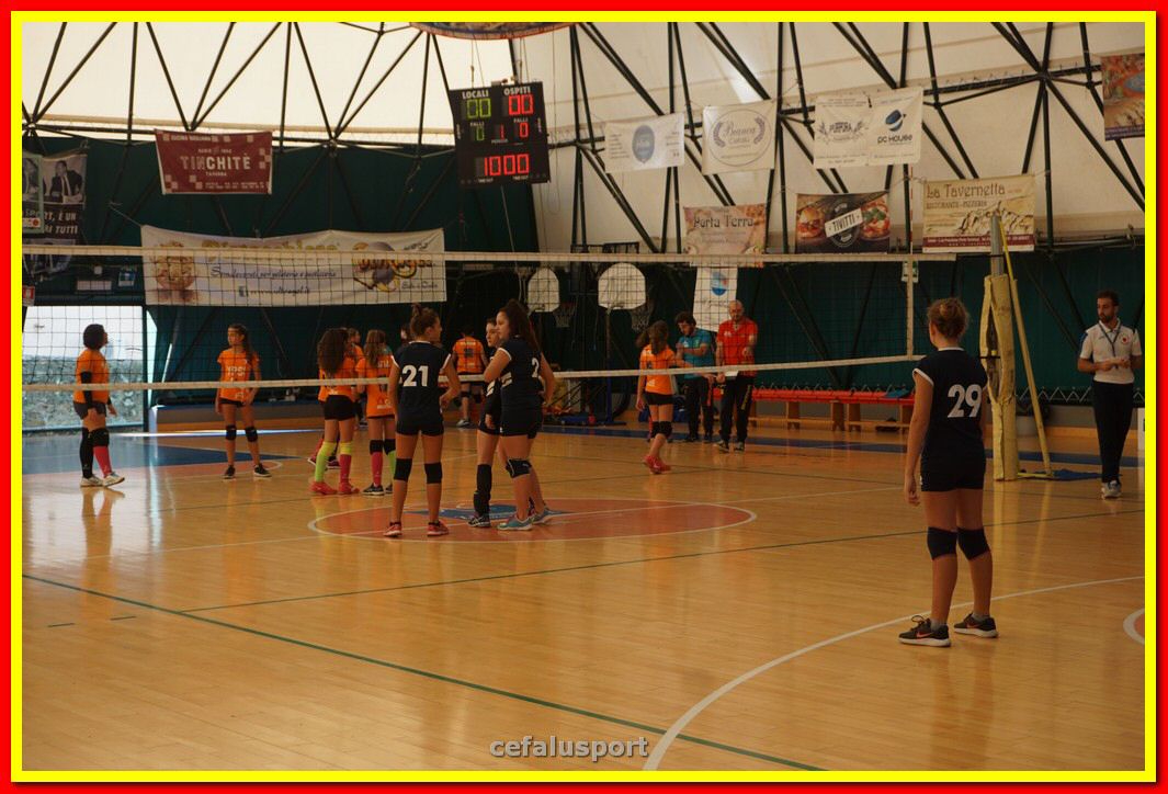 DSC06654.jpg