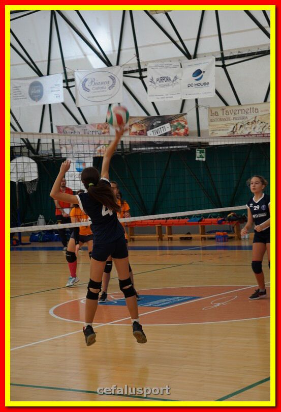 DSC06683.jpg