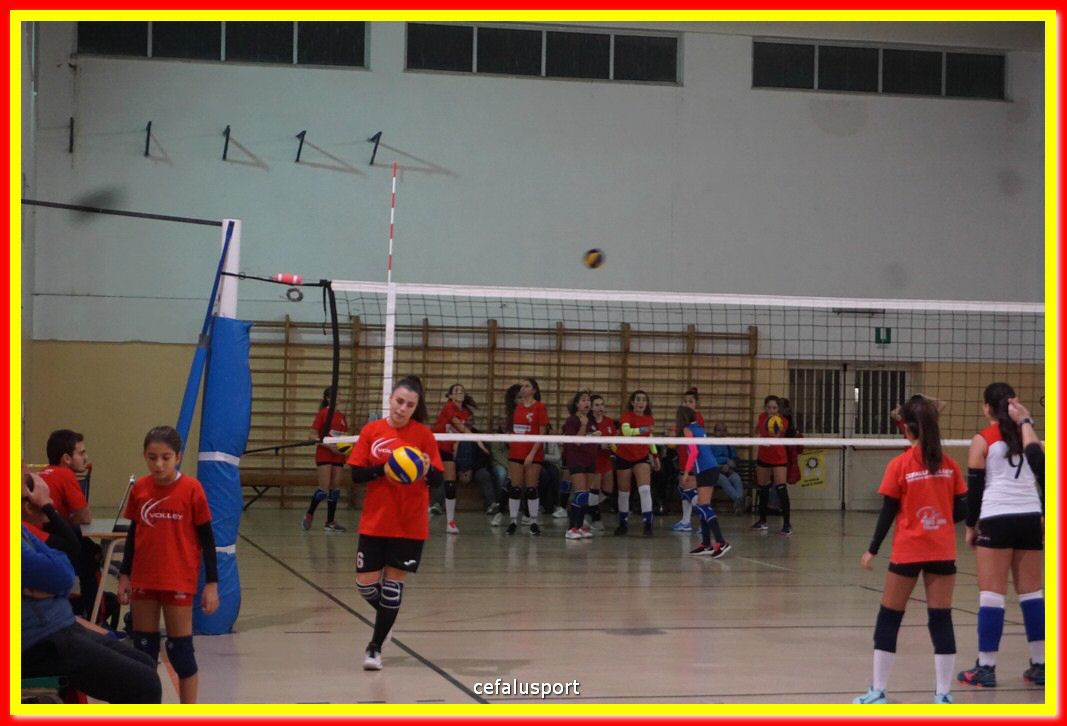 DSC08560.jpg
