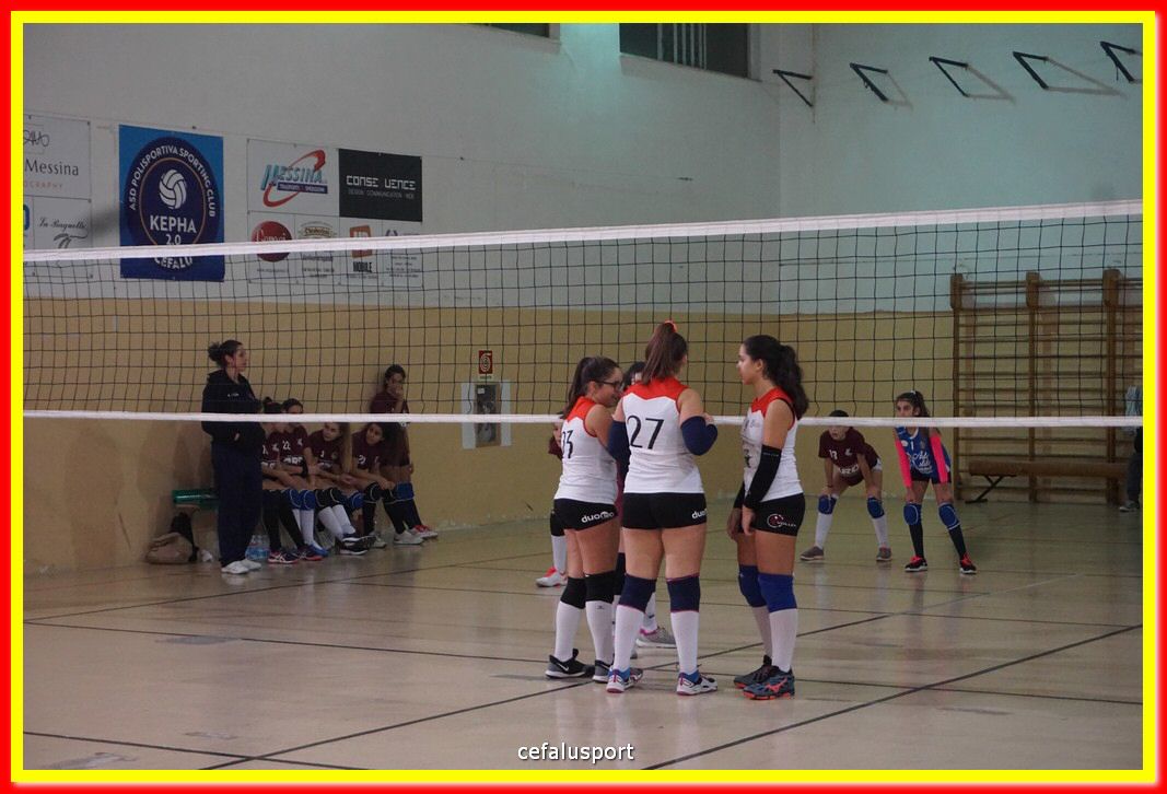 DSC08570.jpg