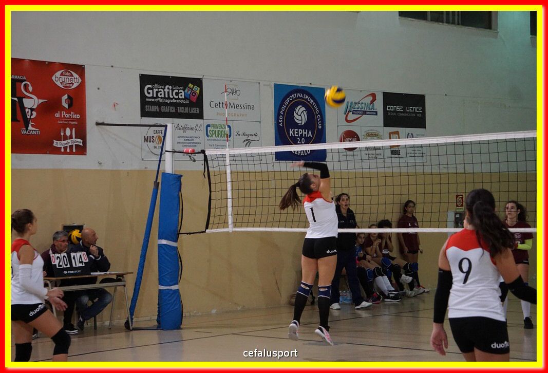 DSC08600.jpg