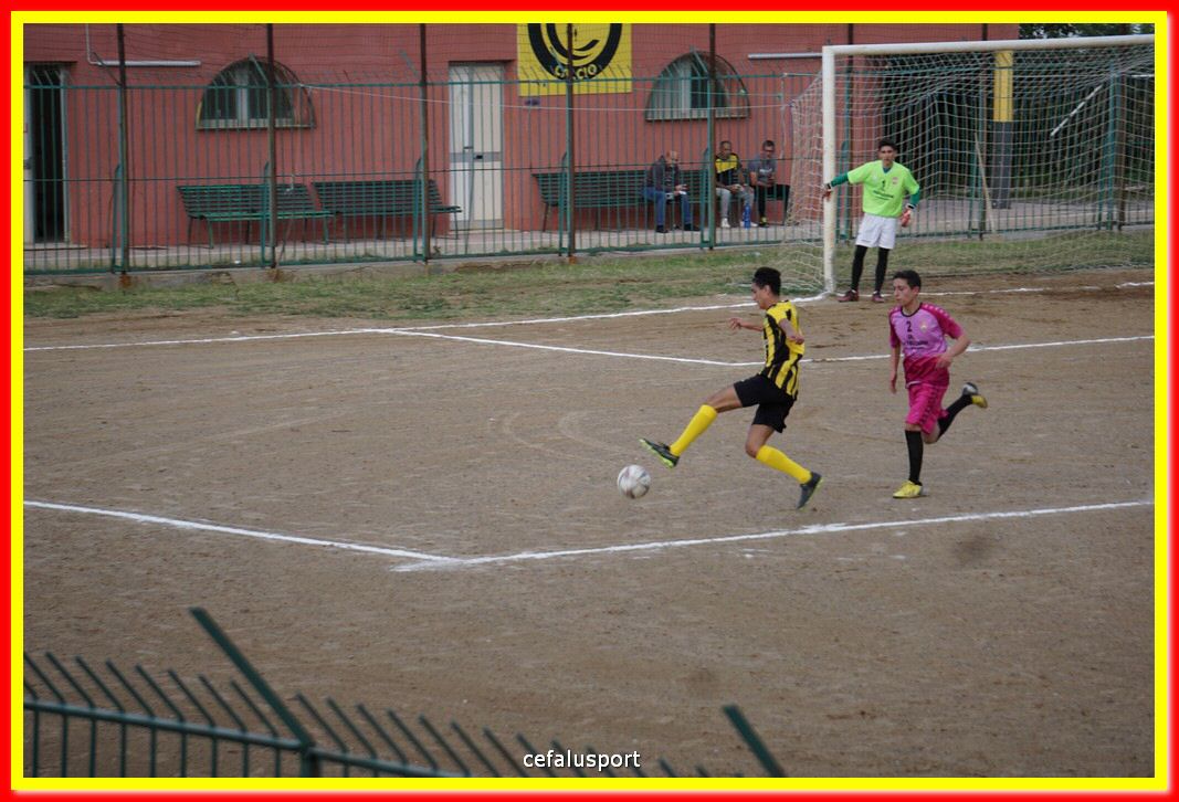 DSC07378.jpg