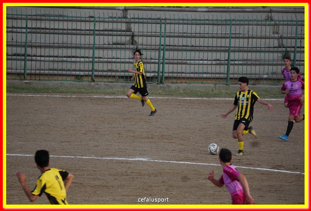 DSC07388.jpg