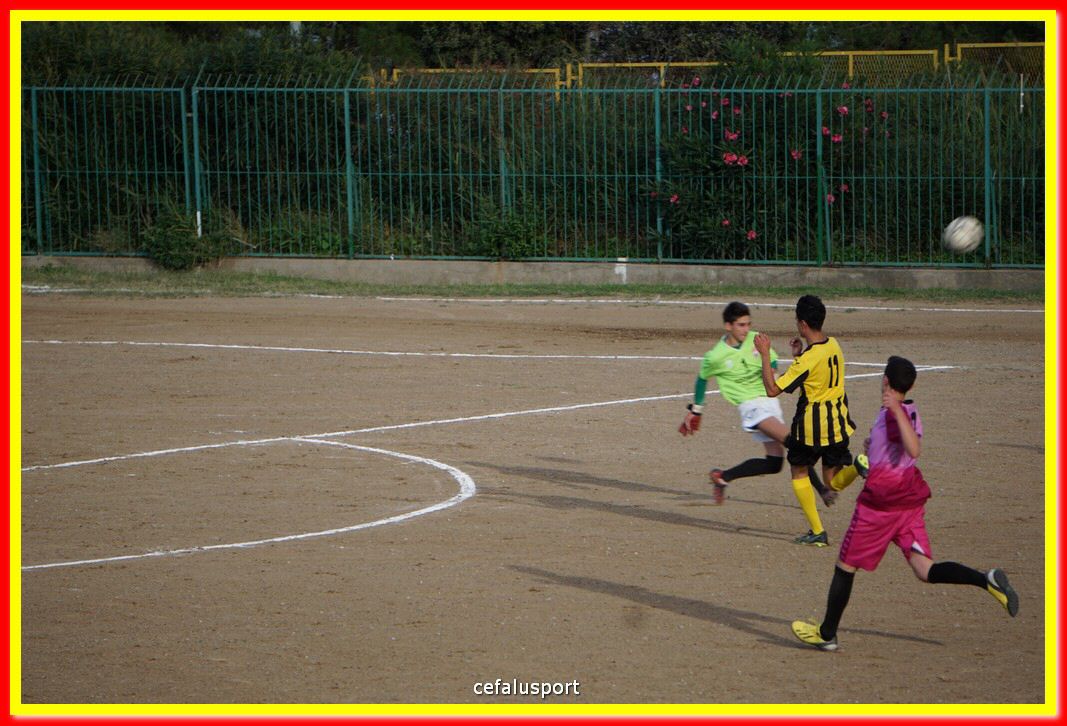 DSC07389.jpg