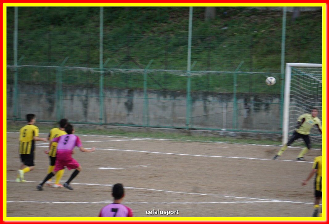 DSC07394.jpg