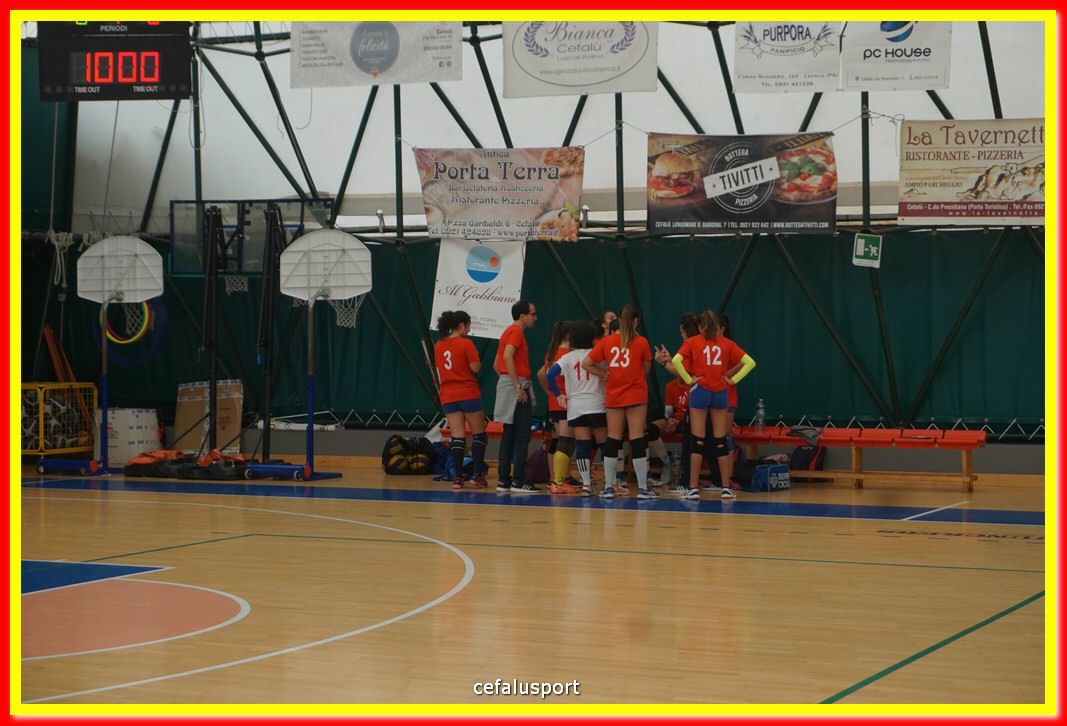 DSC07556.jpg