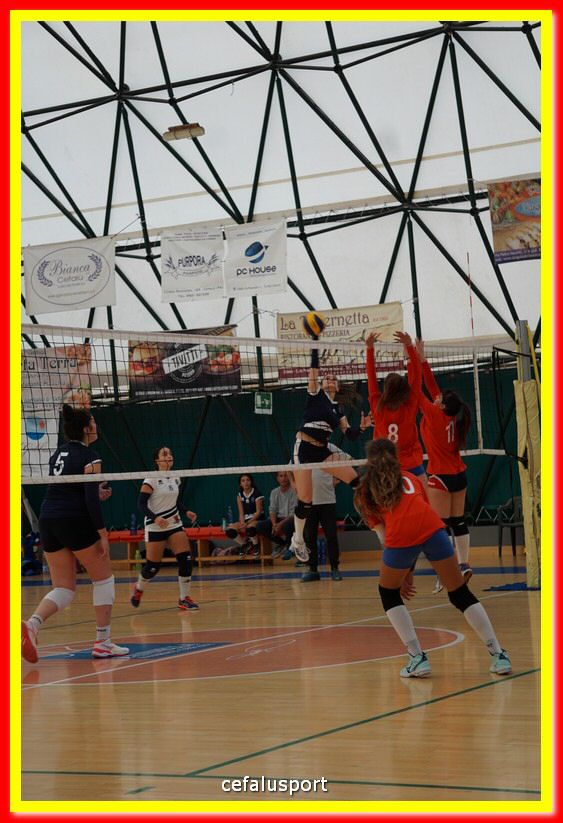 DSC07652.jpg