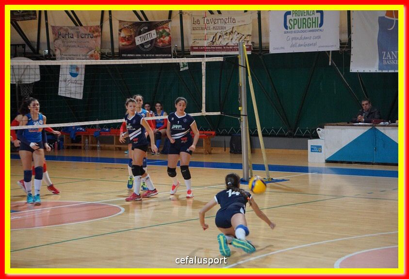 DSC07199.jpg