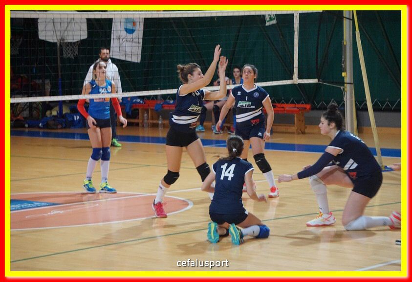 DSC07204.jpg