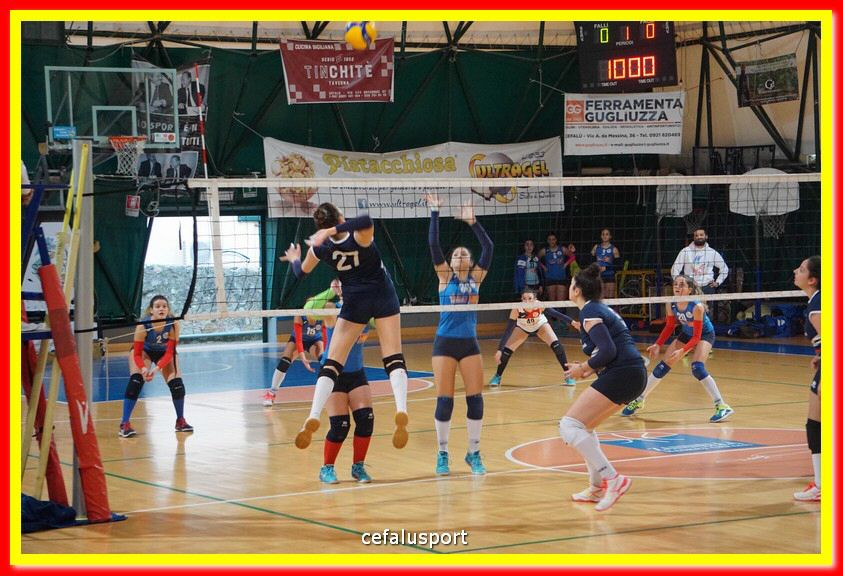 DSC07207.jpg