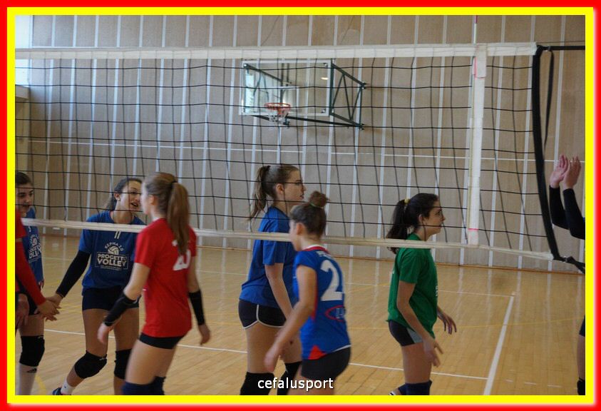 DSC07004.jpg