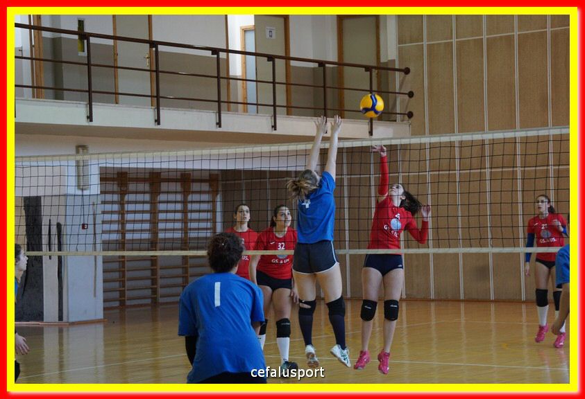 DSC07037.jpg