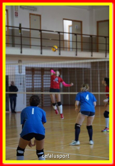 DSC07044.jpg