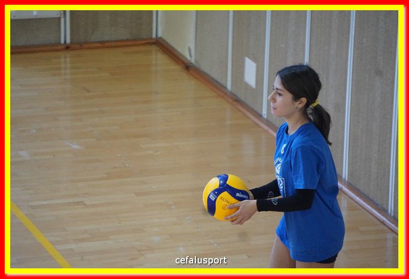 DSC07062.jpg