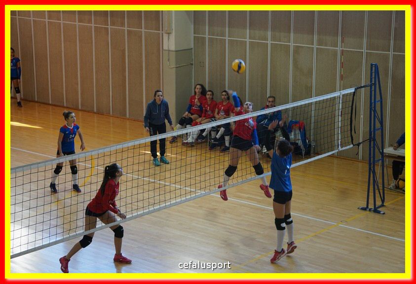 DSC07066.jpg