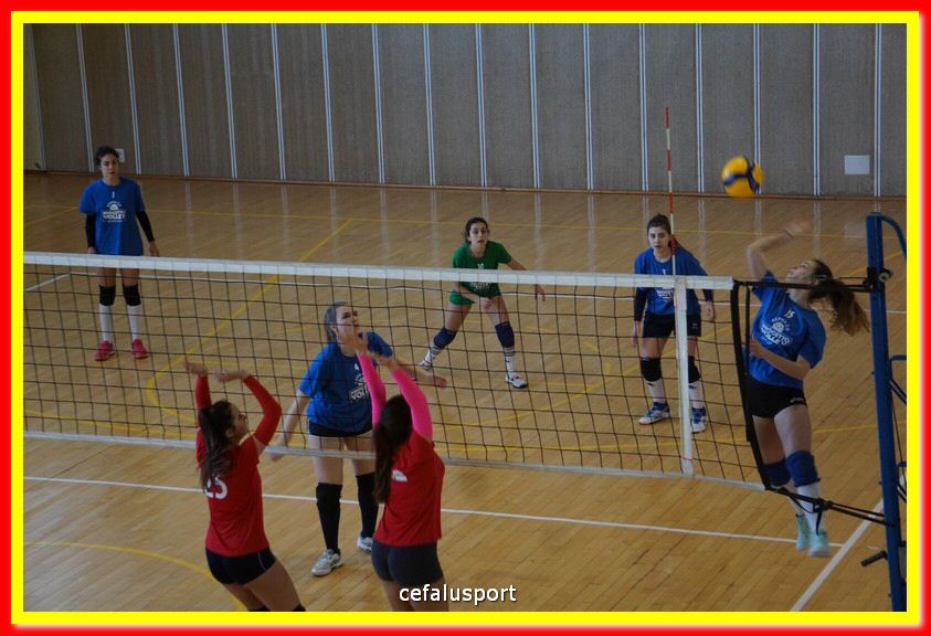 DSC07073.jpg