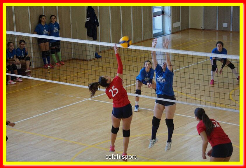 DSC07075.jpg