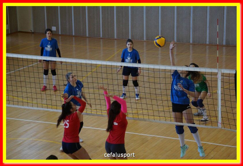 DSC07076.jpg