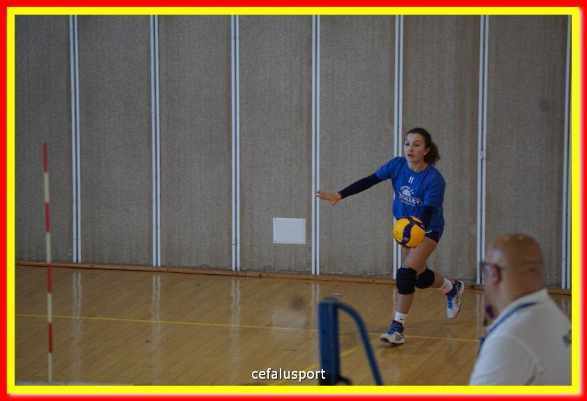 DSC07078.jpg