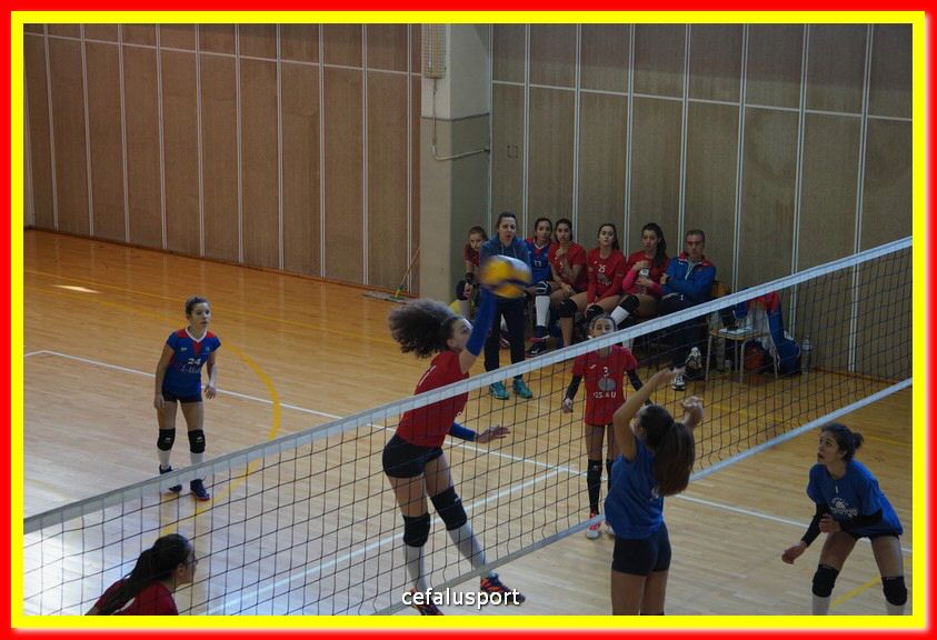 DSC07080.jpg