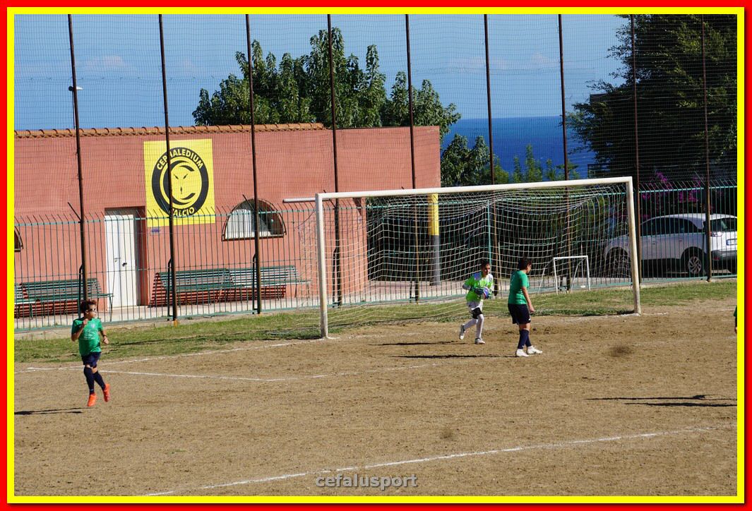 DSC07970.jpg