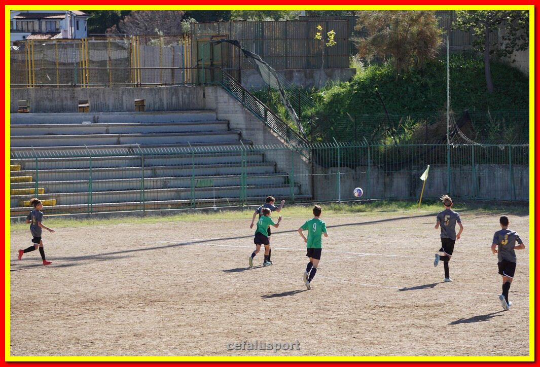 DSC07974.jpg