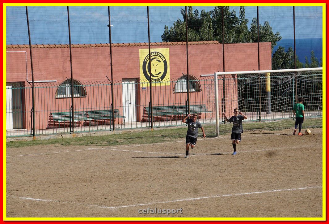 DSC07986.jpg
