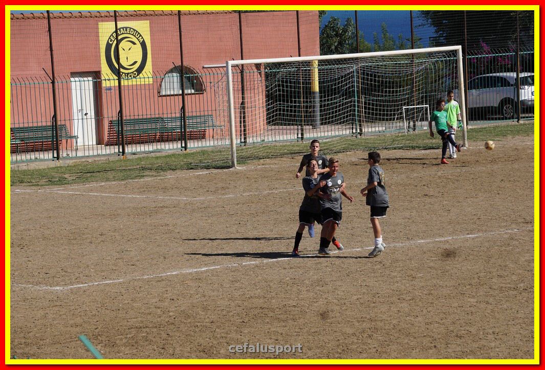DSC07987.jpg