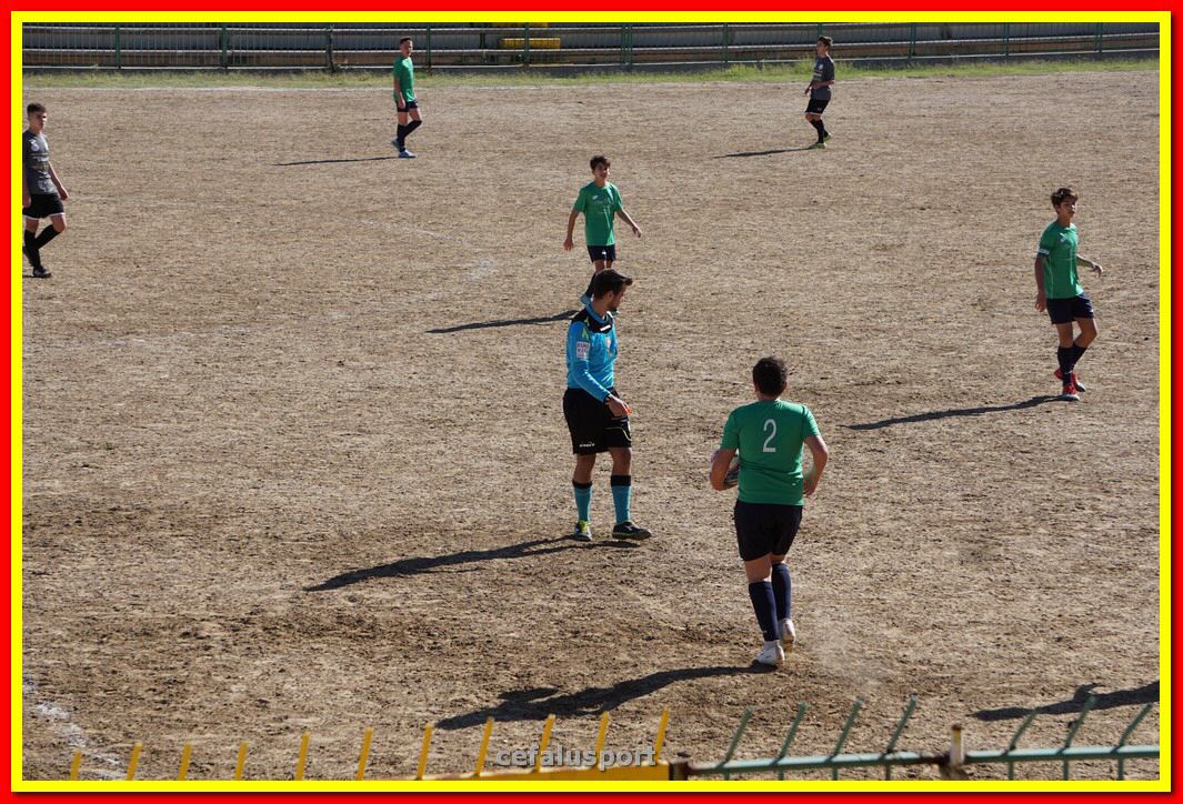 DSC07990.jpg