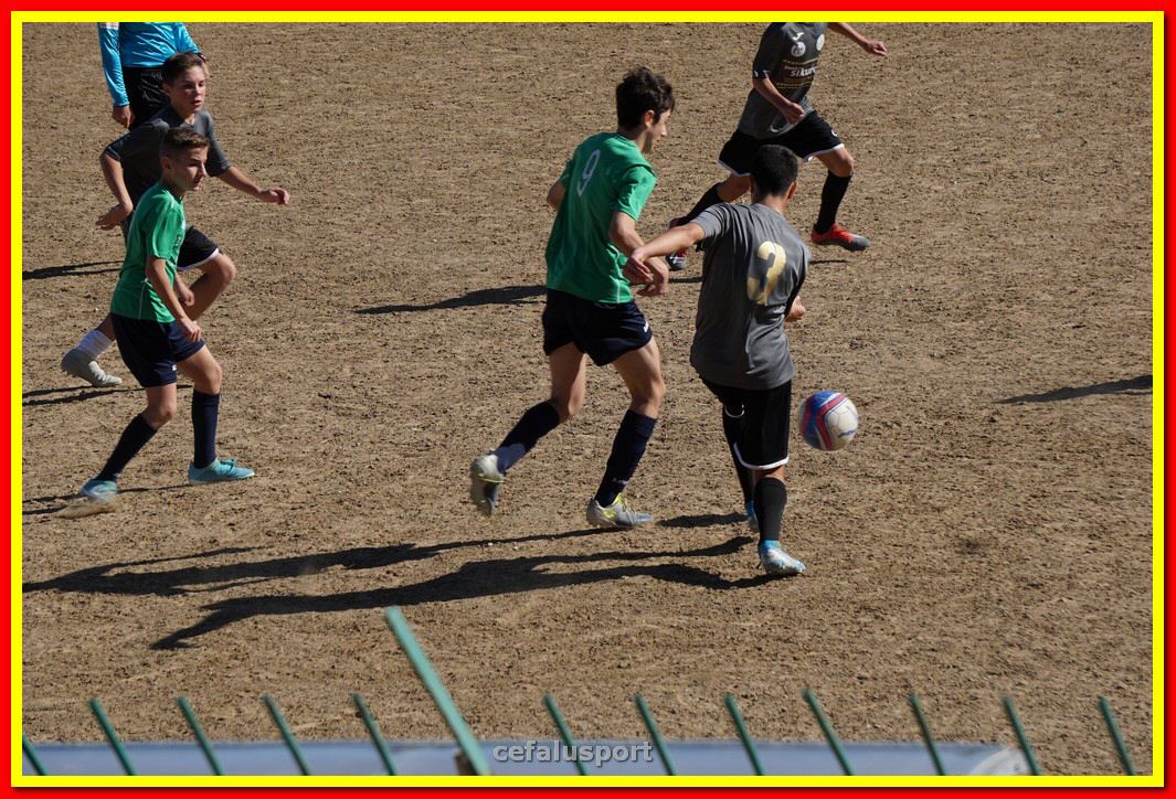 DSC08013.jpg