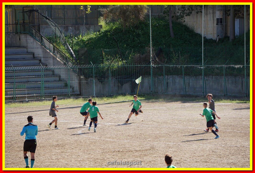 DSC08020.jpg