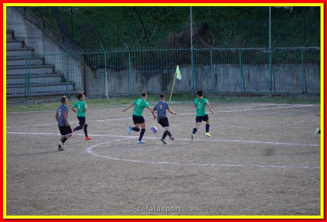 DSC08041.jpg