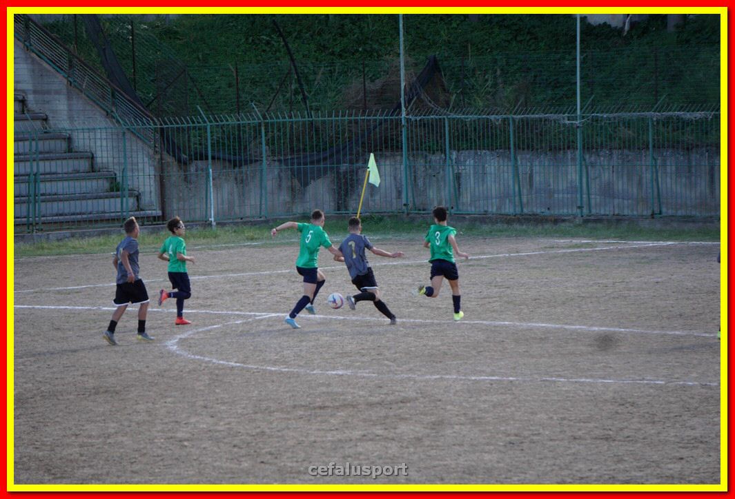 DSC08042.jpg