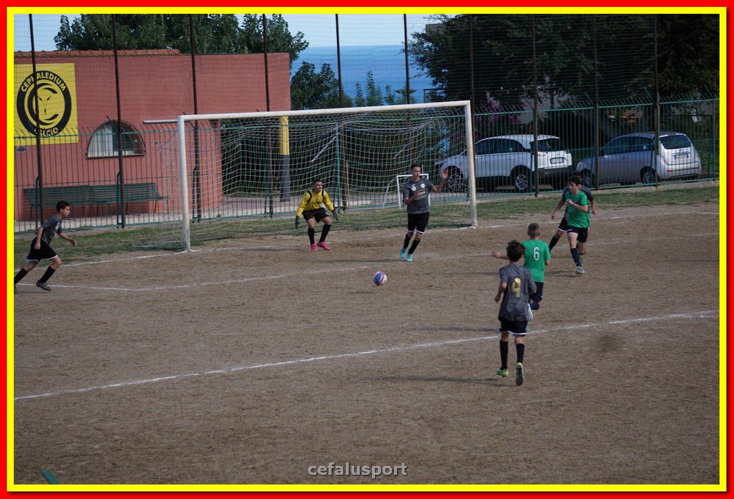 DSC08068.jpg