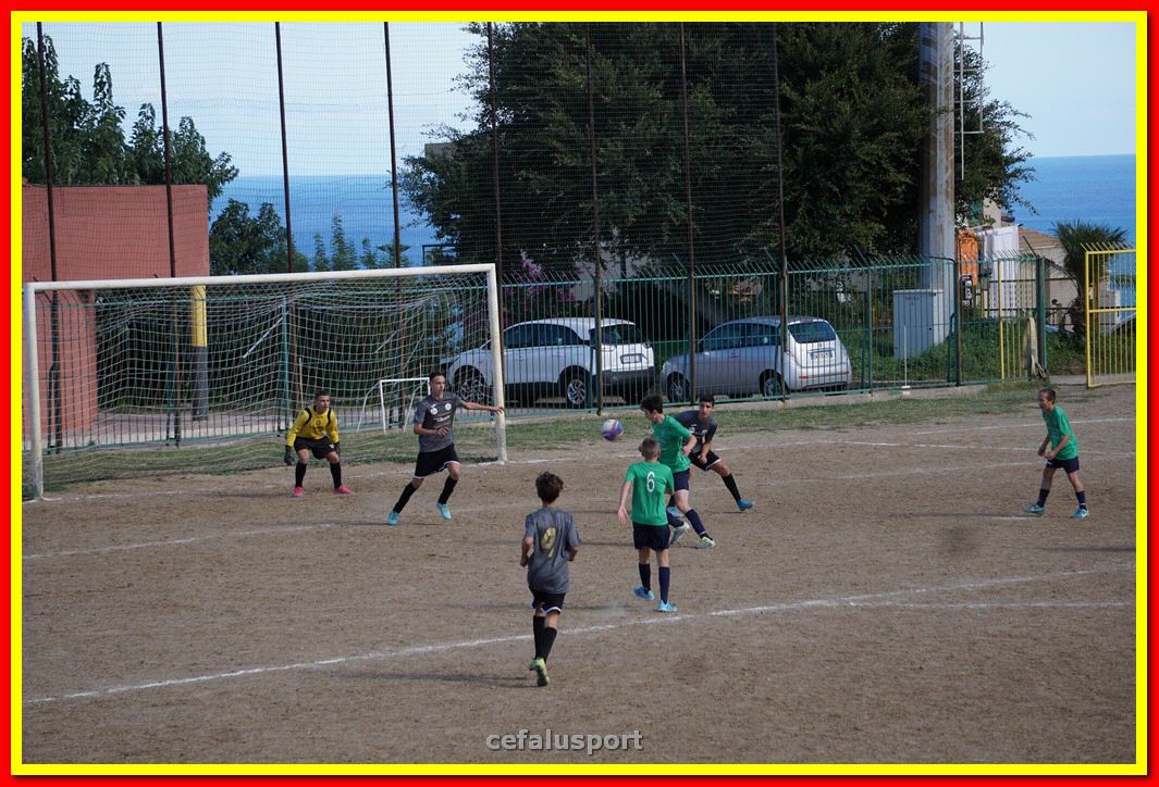 DSC08071.jpg