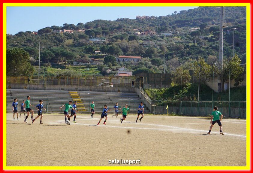 DSC08886.jpg
