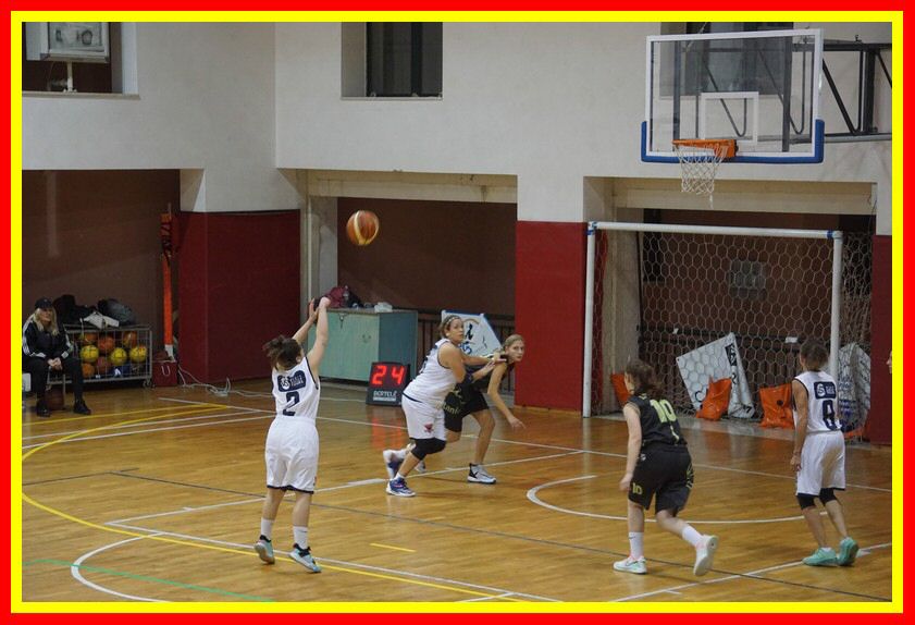 DSC01531_tn.jpg