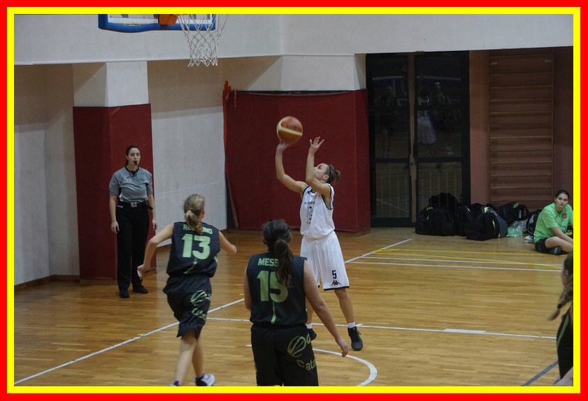 DSC01555_tn.jpg