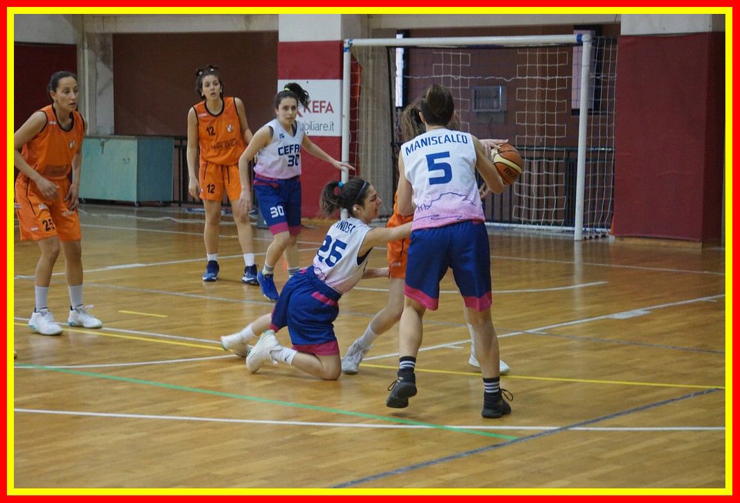 DSC06412_tn.jpg